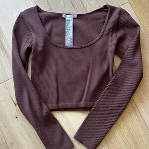 Zara Brown Long Sleeve Scoop Neck Crop Top